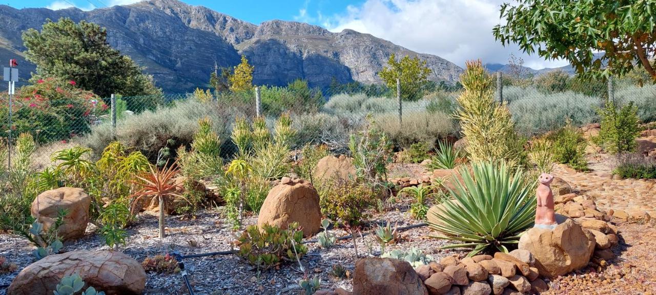 Akkedis At Artemis Apartman Franschhoek Kültér fotó