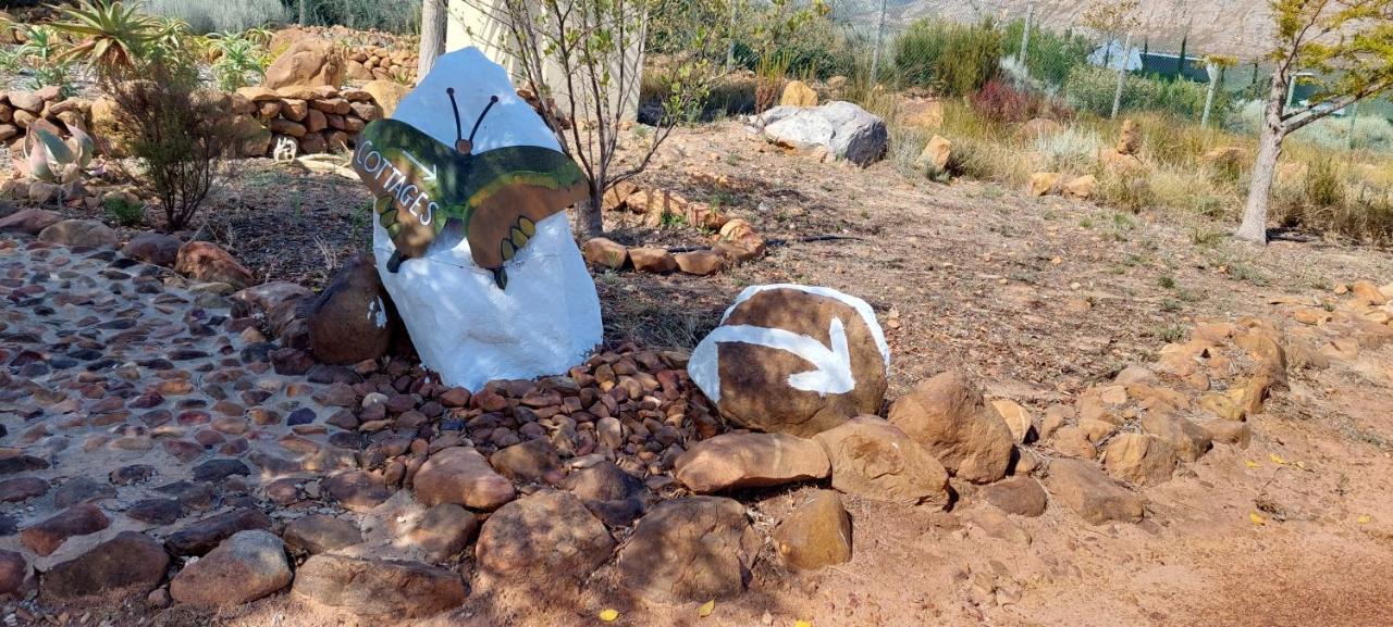 Akkedis At Artemis Apartman Franschhoek Kültér fotó