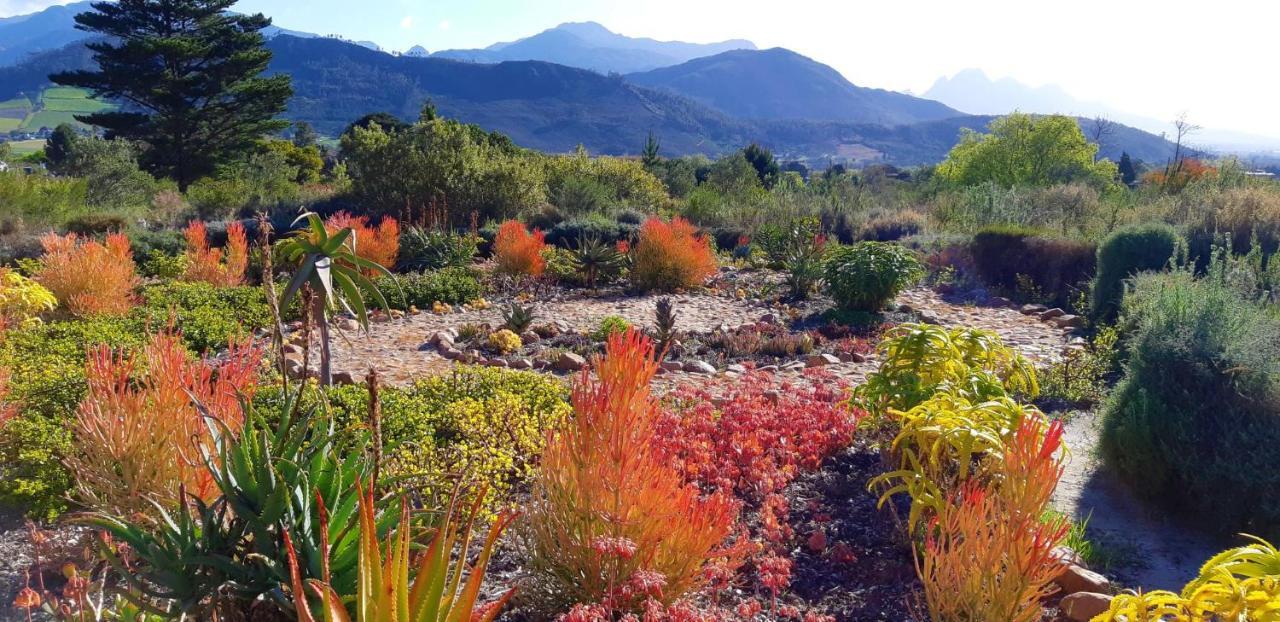 Akkedis At Artemis Apartman Franschhoek Kültér fotó
